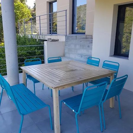 Neuve Architecte Vue *