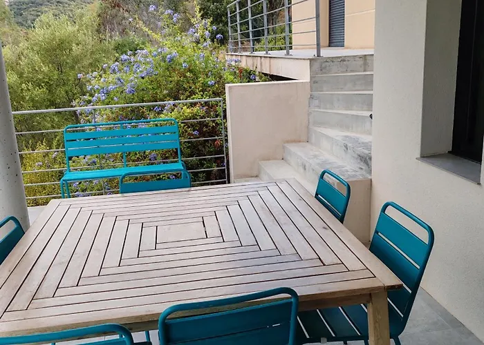 Neuve Architecte Vue