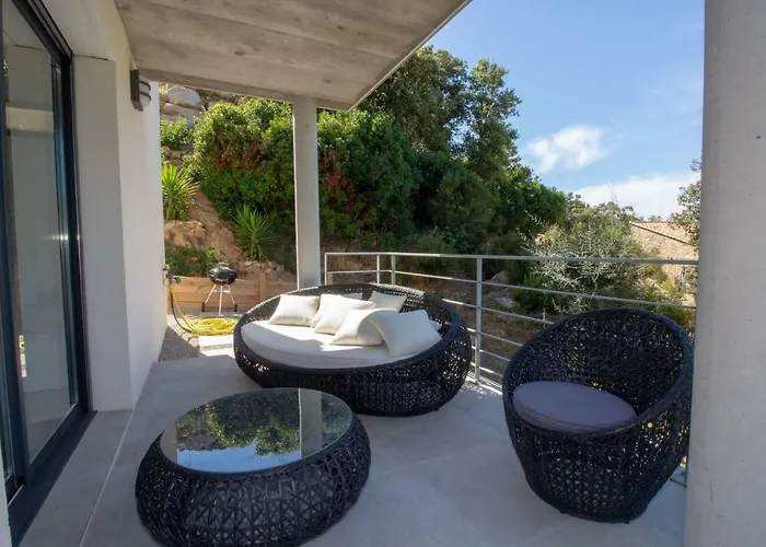 Neuve Architecte Vue *