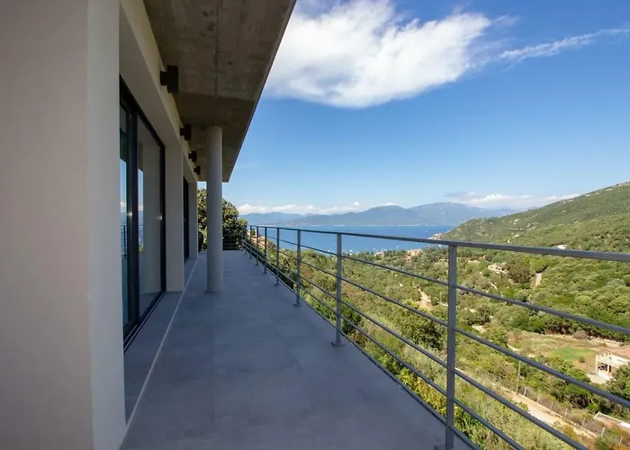 Neuve Architecte Vue