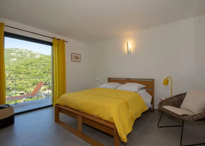 Neuve Architecte Vue Villa *