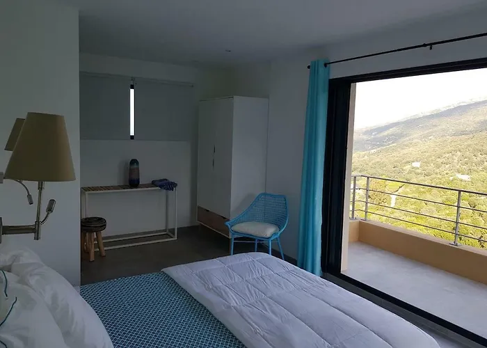 Neuve Architecte Vue Villa *