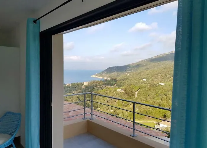 Villa Neuve Architecte Vue Belvedere-Campomoro