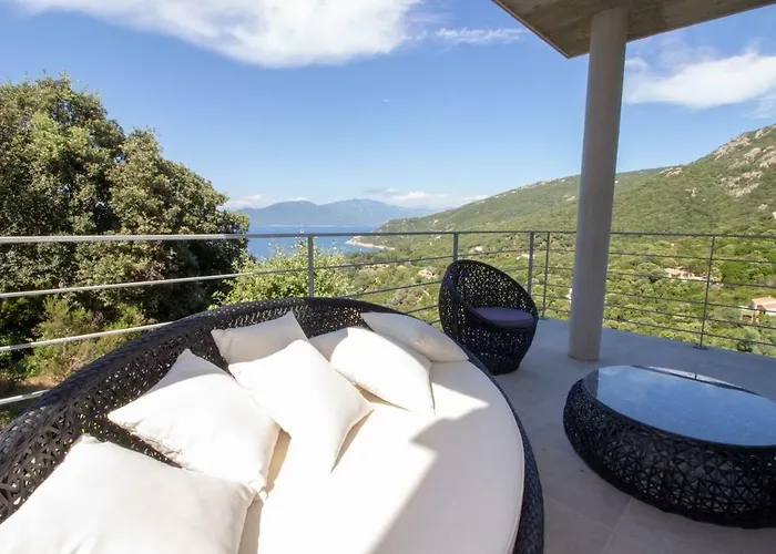 Neuve Architecte Vue